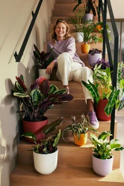 Pot jazz rond 19cm lavendel lila|ohgreen Online