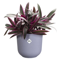 Pot jazz rond 19cm lavendel lila|ohgreen Online