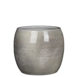 Pot lester|ohgreen Best