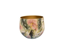 Pot monstera mystery d17 h14|ohgreen Online