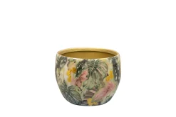 Pot monstera mystery d9 h7|ohgreen