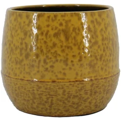 Pot optim|ohgreen Online