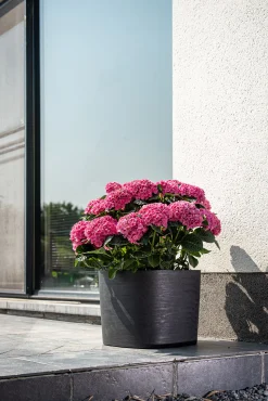 Pot Respect met reservoir 20x20h17 zwart-antraciet|ohgreen New