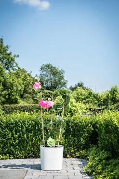 Pot Respect met reservoir25x25h21 wit|ohgreen Best