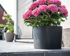 Pot Respect met reservoir 40x40h30 zwart-antraciet|ohgreen Online