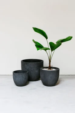 Pot rond crest|ohgreen Best