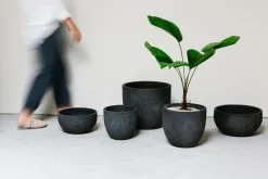 Pot rond crest|ohgreen Best