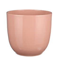 Pot tusca|ohgreen Online