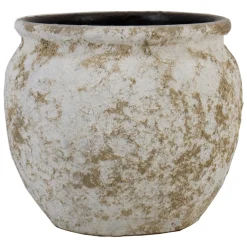 Pot vales|ohgreen Sale