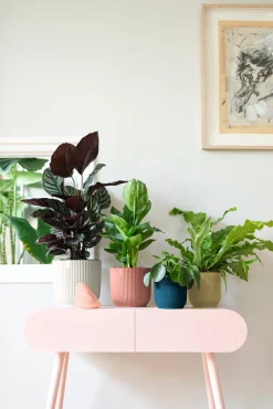 Pot vibes fold 18cm botergeel|ohgreen