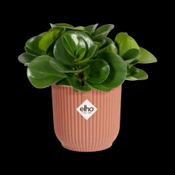 Pot vibes fold 11cm delicate roze|ohgreen Clearance