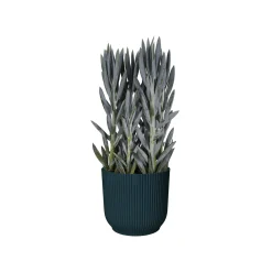 Pot vibes fold 25cm diepblauw|ohgreen Discount