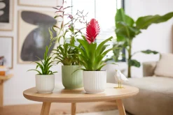 Pot vibes fold 18cm zijdewit|ohgreen Online