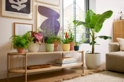 Pot vibes fold coupe 14cm zijdewit|ohgreen Sale