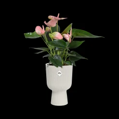 Pot vibes fold coupe 14cm zijdewit|ohgreen Sale