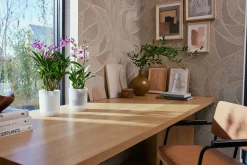 Pot Vibes fold orchidee|ohgreen Clearance