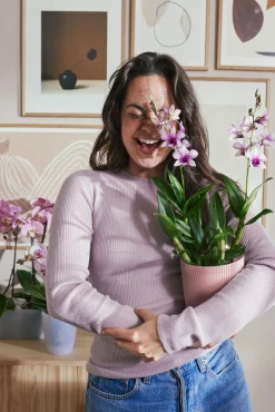 Pot Vibes fold orchidee|ohgreen Hot