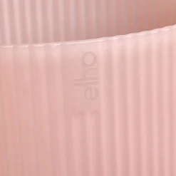 Pot Vibes fold orchidee|ohgreen Hot