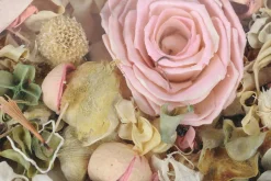 Potpourri|ohgreen Discount