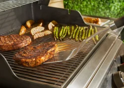 PRECISION BARBECUESPATEL|ohgreen Online