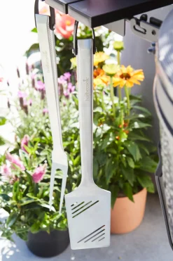 Premium spatel|ohgreen Clearance