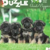 Puzzle 1000 stuks Chiots/Puppies|ohgreen Outlet