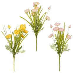 Ranunculus - l53cm|ohgreen