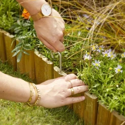 Rolboduur Cala|ohgreen Discount