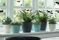 Rond 25cm|ohgreen New