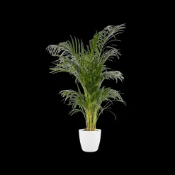 Rond 25cm|ohgreen Clearance