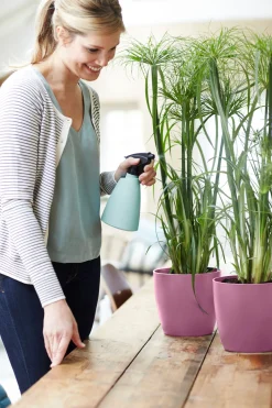 Rond 16cm|ohgreen Online