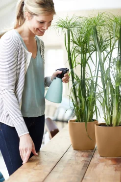 Rond 16cm|ohgreen Discount