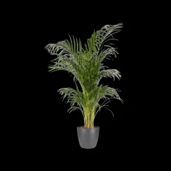 Rond 16cm|ohgreen Best