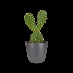 Rond mini 7cm|ohgreen Outlet