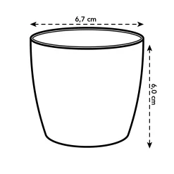 Rond mini 7cm|ohgreen Sale