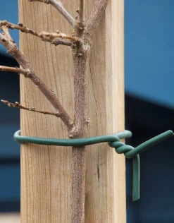 Rubber bindband d6mm x 5m|ohgreen Outlet