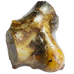 Runderknokkel 1 st. (krimp) (met label)|ohgreen Best