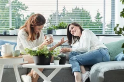 Schaal 23cm|ohgreen Hot