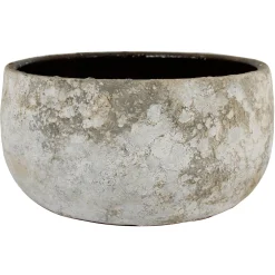 Schaal sines|ohgreen