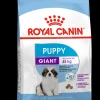 Shn puppy giant 3.5kg|ohgreen