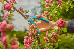 Snoeischaar EasyCut|ohgreen