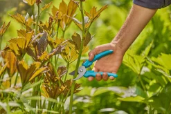 Snoeischaar EasyCut|ohgreen