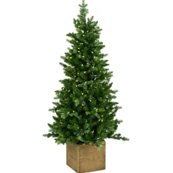 Snowy norfolk entr. tree pot 137cm 200l transfo|ohgreen