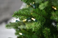 Snowy norfolk entr. tree pot 137cm 200l transfo|ohgreen