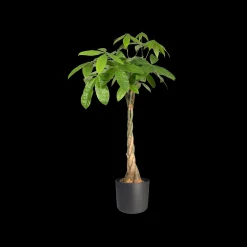 SOFT ROND 35CM ANTRACIET|ohgreen Hot