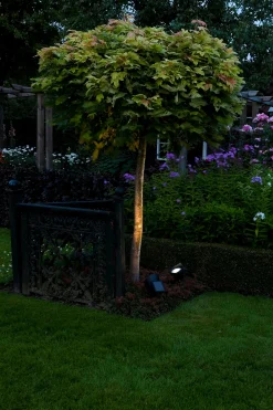 Spot Lazise Solar|ohgreen Best