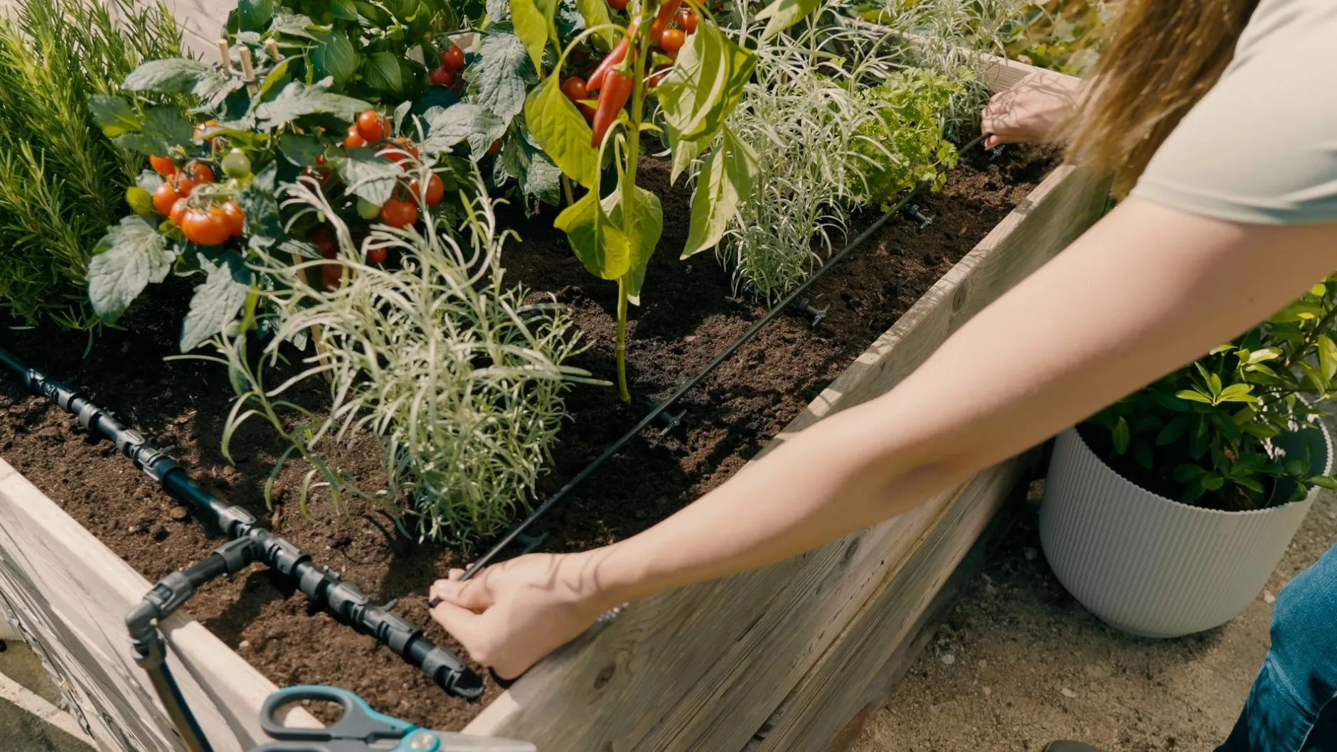 Startset voor verhoogde bloembedden en moestuinen|ohgreen Outlet