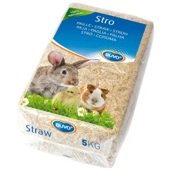 Stro|ohgreen Clearance