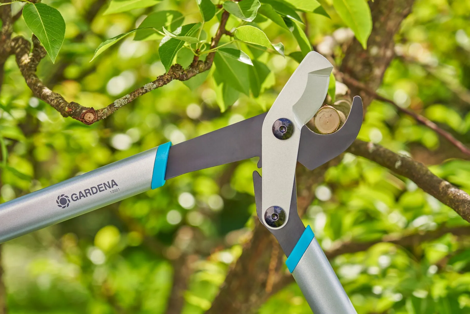 Takkenschaar EnergyCut Basic|ohgreen New