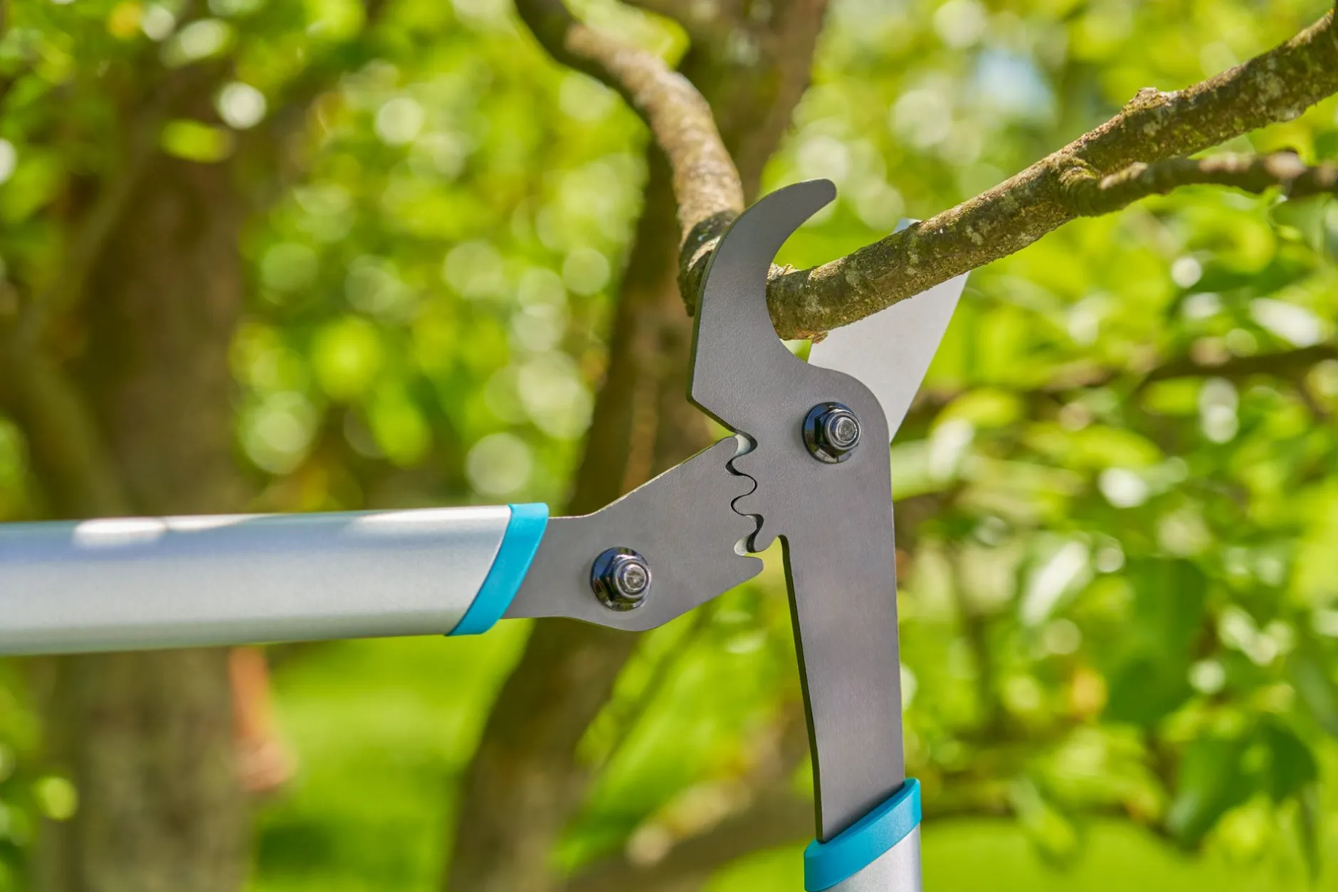 Takkenschaar EnergyCut Basic|ohgreen New